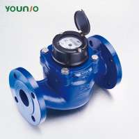 Younio Woltmann Removable Element Water Meter Used in Industry